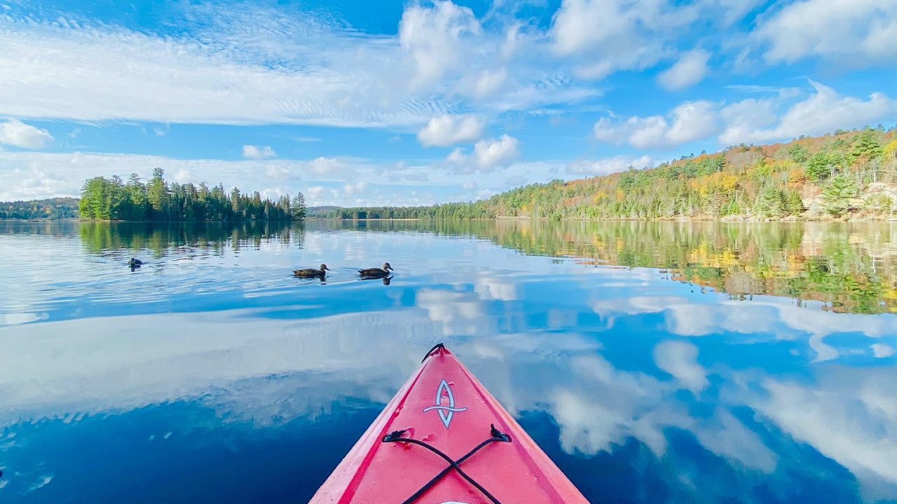 Must-Have Gear for Getting Your Kayak to the Water