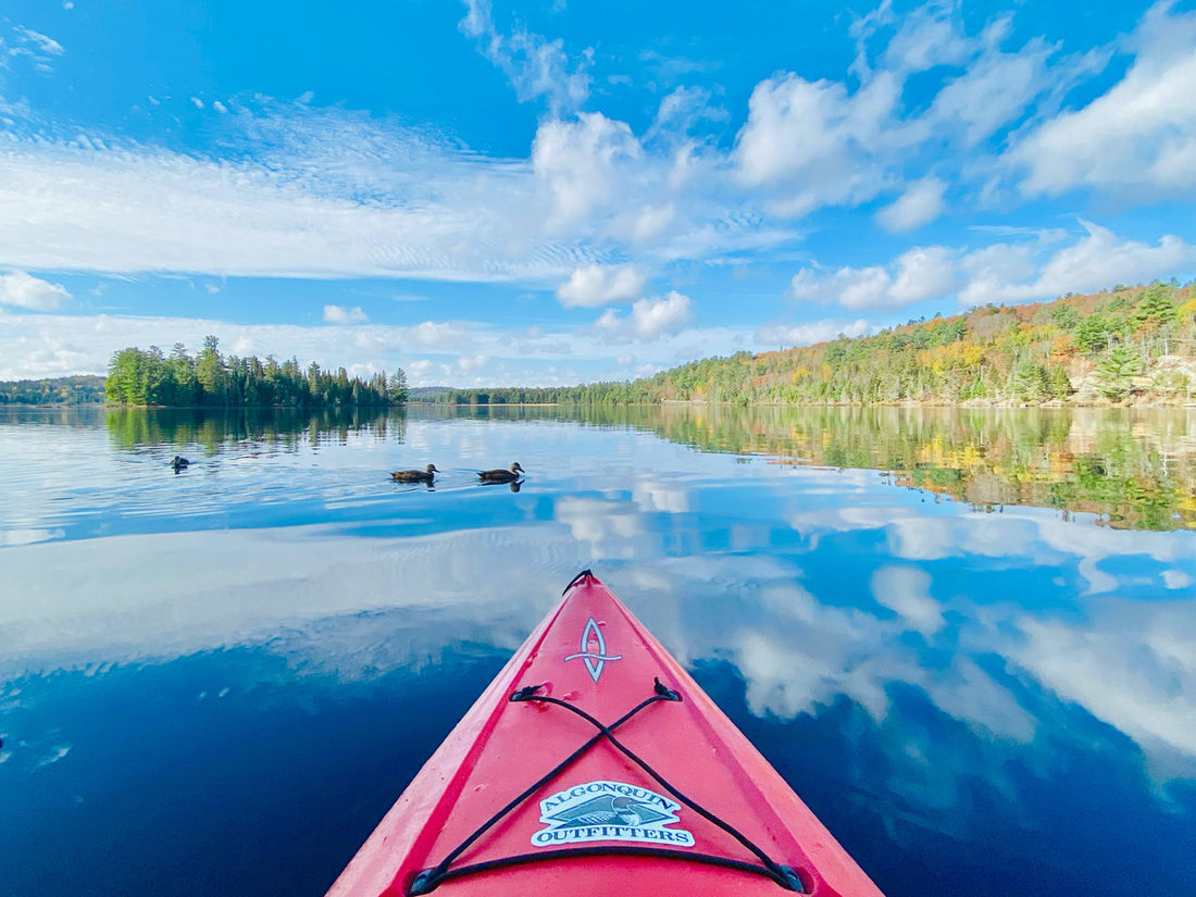 Must-Have Gear for Getting Your Kayak to the Water