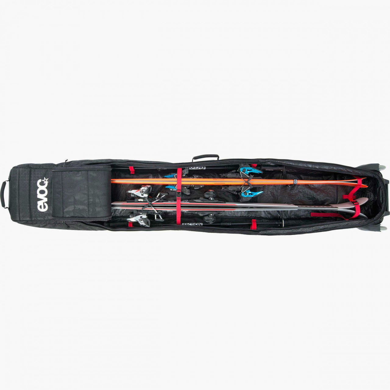 2 ski travel case