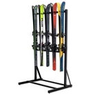 ski organization