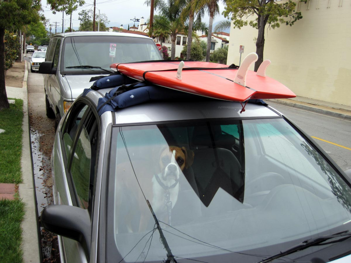 Temporary roof rack system for paddleboards